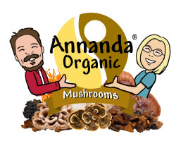 The Magic of Organic Mushrooms: Unlocking the Secrets to Health and Wellness