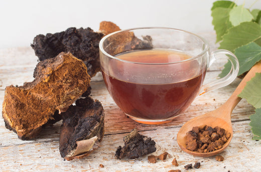 The Surprising Benefits of Chaga Mushroom for Your Health