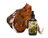 Annanda Chaga Mushroom Tincture - Low Alcohol