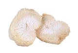 annanda lion's mane mushroom