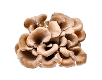 Annanda Organics Maitake Mushroom Powder - 120g