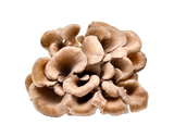 Annanda Organics Maitake Mushroom Powder - 120g