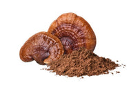 reishi mushroom powder